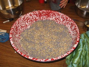 Lavender used for pillows